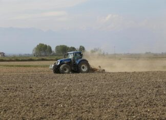 Exploitation agricole : comment optimiser la rentabilité de son domaine ? exploitation agricole comment optimiser la rentabilité de son domaine