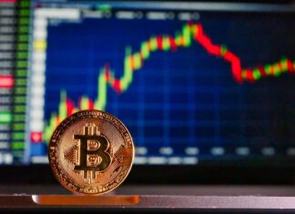 Ce que les débutants doivent savoir sur la crypto-monnaie et la bourse crypto et bourse débutant