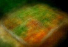 Batch cooking végétarien : comment planifier 4 jours sans se lasser ?