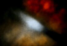 Quel couteau d’office polyvalent à moins de 25 € choisir ?