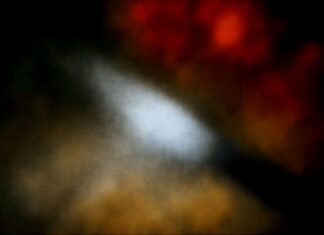 Quel couteau d’office polyvalent à moins de 25 € choisir ?