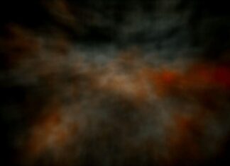 Comment supprimer durablement les mites alimentaires de la cuisine ? Comment supprimer durablement les mites alimentaires de la cuisine ?