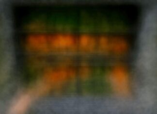 Comment optimiser son frigo pour éviter 20 % de gaspillage alimentaire ? Comment optimiser son frigo pour éviter 20 % de gaspillage alimentaire ?