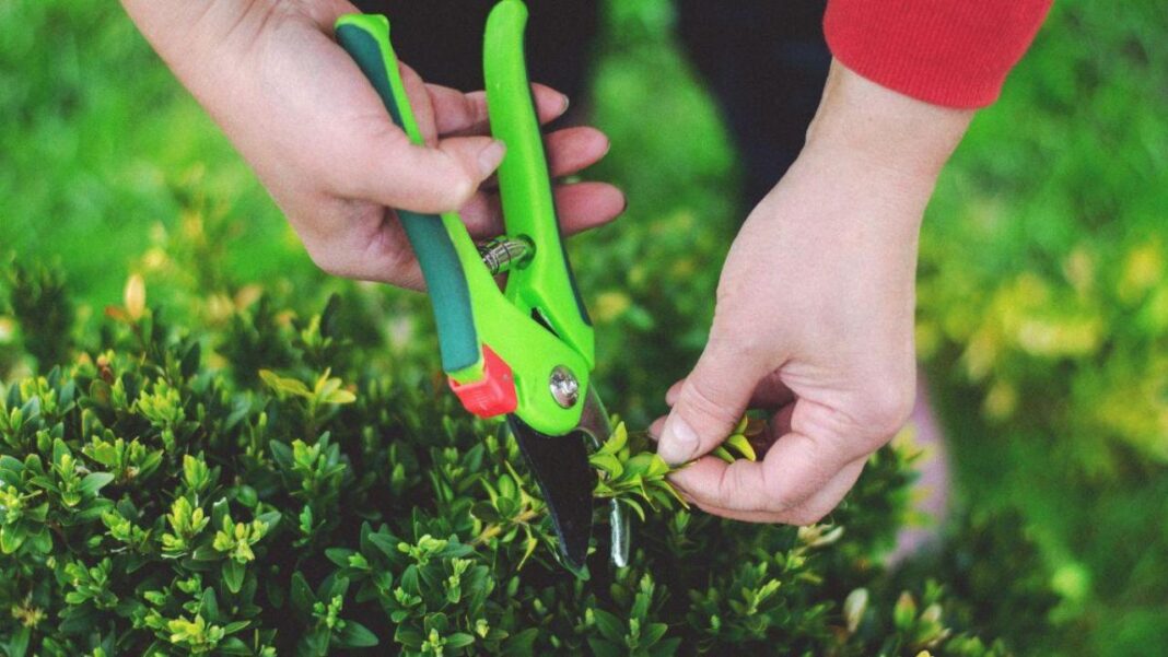 assurance bien se protéger pour un quotidien plus serein