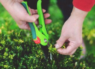 assurance bien se protéger pour un quotidien plus serein