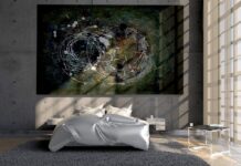 cryptomonnaies populaires