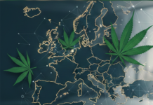 Le CBD en France : bienfaits, cadre légal et opportunités pour entreprendre le cbd en france et en europe