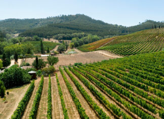 Tourisme vinicole dans le Var : de Grimaud à Port-Grimaud tourisme vinicole dans le var